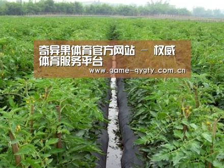 种植基地三