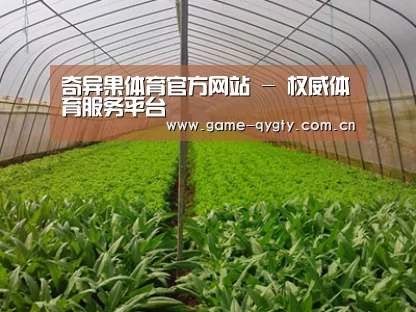 种植基地四