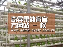 环境展示六