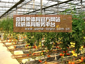 种植基地二(图1)