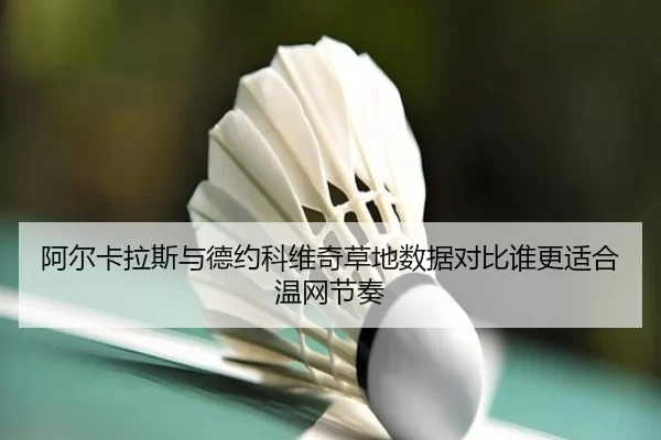 阿尔卡拉斯与德约科维奇草地数据对比谁更适合温网节奏